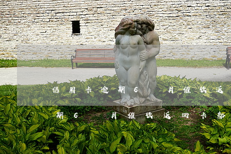 信用卡逾期6個月催收返回卡部-信用卡逾期6個月催收返回卡部門怎么辦