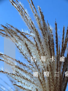 信用卡逾期6個月利息有封頂嗎(信用卡6萬逾期三個月)
