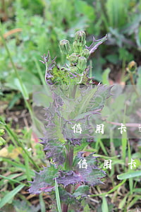 信用卡逾期6個月后果卡被凍結(jié)(信用卡逾期6個月會被起訴嗎)