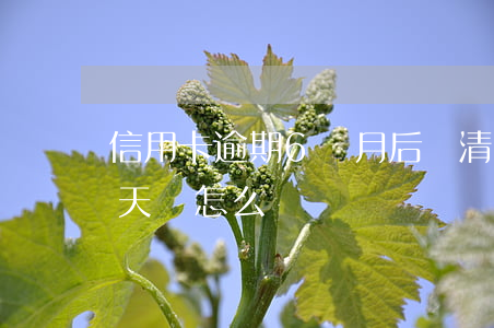 信用卡逾期6個月后還清(信用卡還款逾期6天會怎么樣)