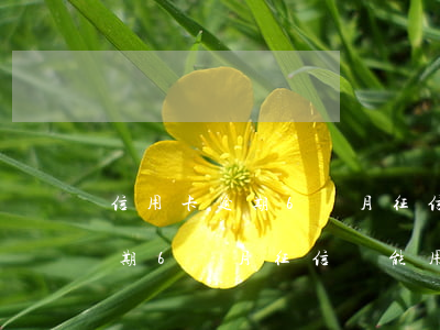 信用卡逾期6個月征信還能用嗎-信用卡逾期6個月征信還能用嗎有影響嗎