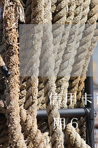 信用卡逾期6個月沒錢怎么處理-信用卡逾期6個月沒錢怎么處理呢