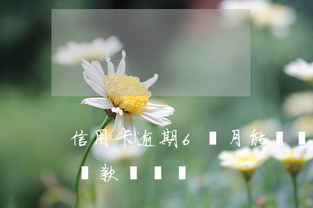 信用卡逾期6個月能車貸(信用卡逾期兩次能貸款買車嗎)