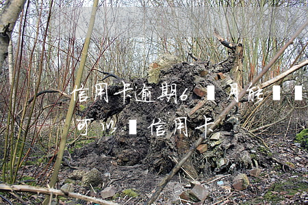 信用卡逾期6個月能辦貸款嗎(貸款逾期多久可以辦信用卡)