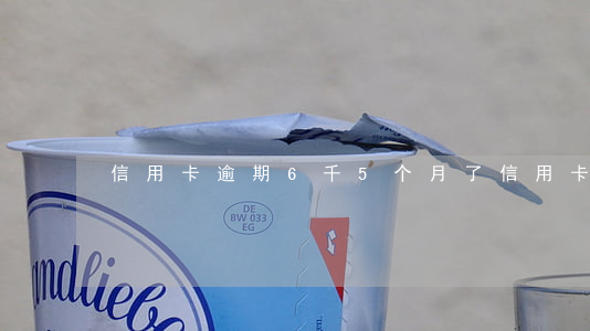 信用卡逾期6千5个月了(信用卡逾期六个月)