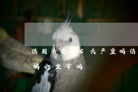 信用卡逾期6天严重吗(信用卡逾期6天严重吗会坐牢吗)