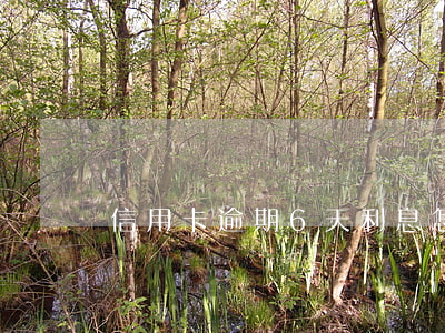 信用卡逾期6天利息怎么算
