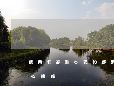 信用卡逾期6天如何消除(信用卡逾期几天怎么消除)