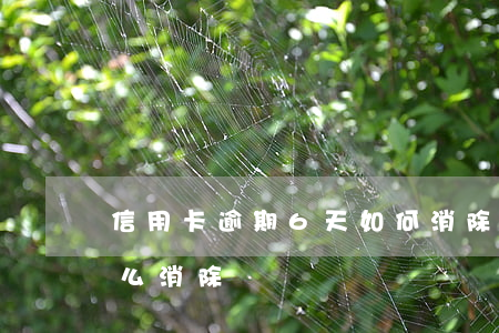 信用卡逾期6天如何消除(信用卡逾期幾天怎么消除)