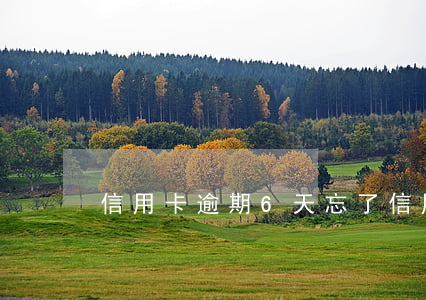 信用卡逾期6天忘了(信用卡逾期6天忘了還)