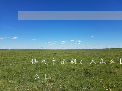 信用卡逾期6天怎么辦-信用卡逾期6天怎么辦?