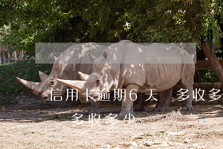 信用卡逾期6天會多收多少(信用卡逾期6天會多收多少)