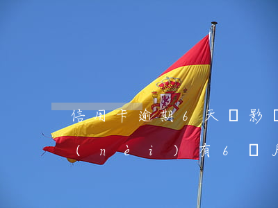 信用卡逾期6天會影響貸款嗎(信用卡5年內(nèi)有6個月處于逾期狀態(tài)能貸款嗎)