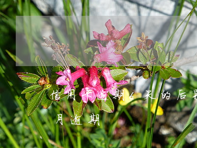信用卡逾期6天的后果(信用卡6個(gè)月逾期)