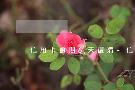 信用卡逾期6天還清-信用卡逾期6天還清