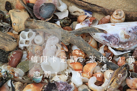 信用卡逾期6家共21萬(wàn)(信用卡逾期13萬(wàn))
