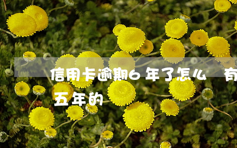 信用卡逾期6年了怎么辦(有沒有信用卡逾期五年的)