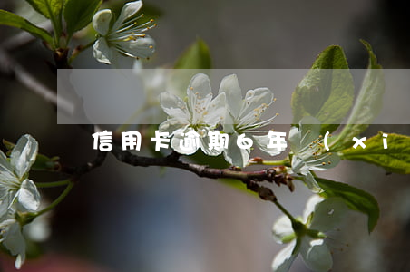 信用卡逾期6年協(xié)商減免承諾函