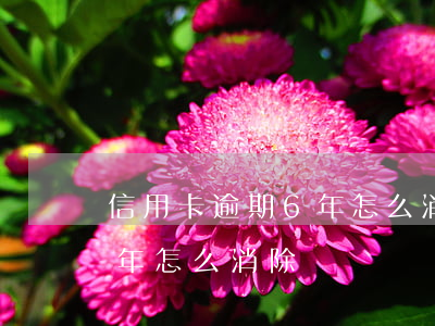 信用卡逾期6年怎么消除記錄(信用卡逾期6年怎么消除記錄)