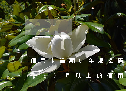 信用卡逾期6年怎么辦理嗎(逾期超過6個(gè)月以上的信用卡,該如何處理?)