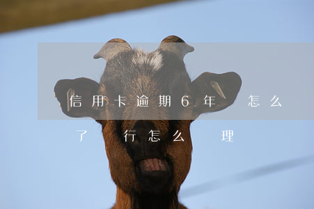 信用卡逾期6年會怎么樣(信用卡逾期五六年了銀行怎么處理)