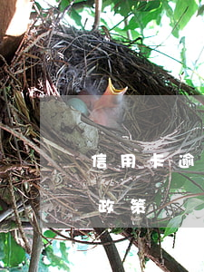 信用卡逾期6年減免利息(信用卡逾期有減免政策?)