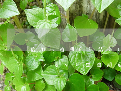信用卡逾期6年結(jié)清了(信用卡嚴(yán)重逾期還清后兩年了)