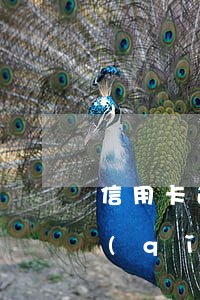 信用卡逾期6年能協(xié)商還款嗎請(qǐng)問(wèn)-欠信用卡一直沒(méi)還6年后還可以嗎