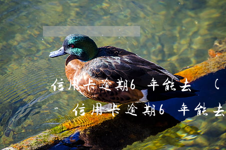 信用卡逾期6年能去補(bǔ)辦身份證嗎-信用卡逾期6年能去補(bǔ)辦身份證嗎