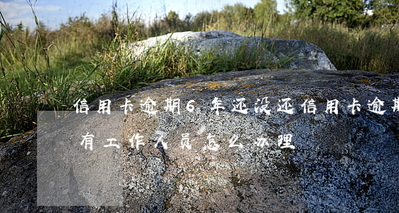 信用卡逾期6年还没还(信用卡逾期6年没还有工作人员怎么办理)