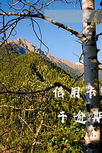 信用卡逾期6月份 信用卡5年內有6個月處于逾期狀態(tài)能貸款嗎