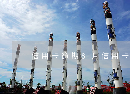 信用卡逾期6月(信用卡逾期6月份好消息)