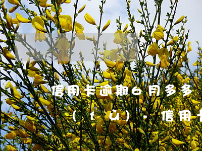 信用卡逾期6月多多長時(shí)間能恢復(fù)-信用卡6個(gè)月逾期