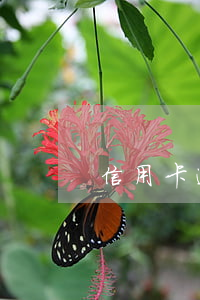 信用卡逾期6期會(huì)怎么樣