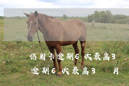 信用卡逾期6次最高3個月嚴重嗎-信用卡逾期6次最高3個月嚴重嗎怎么辦