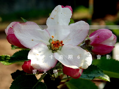 信用卡逾期6次會影響貸款(貸款逾期6次影響大嗎)
