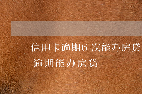 信用卡逾期6次能办房贷吗西安(7次信用卡逾期能办房贷)