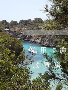 信用卡逾期6次買房怎么辦(逾期6次怎么貸款買房)