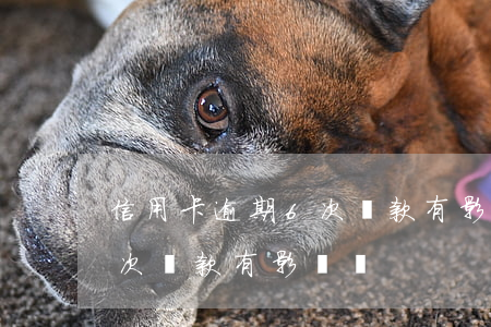 信用卡逾期6次貸款有影響嗎 信用卡逾期6次貸款有影響嗎