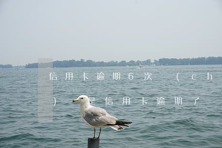信用卡逾期6次車(chē)貸(車(chē)貸是信用卡逾期了)