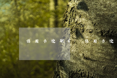 信用卡逾期6級(信用卡逾期6級)