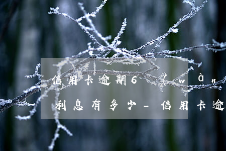 信用卡逾期6萬(wàn)一個(gè)月利息有多少-信用卡逾期6萬(wàn)一個(gè)月利息有多少錢