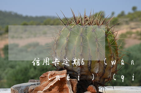 信用卡逾期6萬(wàn)實(shí)在沒(méi)錢(qián)還怎么解決-信用卡6萬(wàn)逾期多久會(huì)被起訴