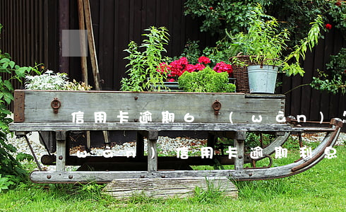 信用卡逾期6萬(wàn)怎么處理(6萬(wàn)信用卡逾期利息是多少)