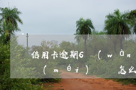 信用卡逾期6萬(wàn)確實(shí)沒(méi)錢還怎么解決(信用卡逾期了一萬(wàn)多沒(méi)錢還怎么辦)