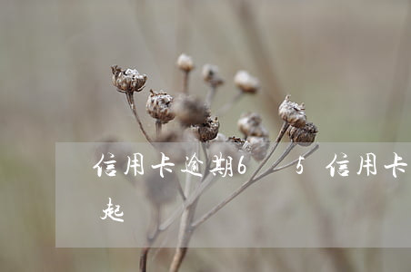 信用卡逾期6萬5(信用卡逾期6萬多久會被起訴)