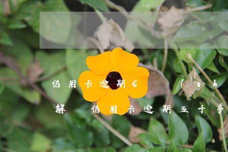 信用卡逾期6萬實(shí)在還不上怎么解決(信用卡逾期五千多不還怎么辦)