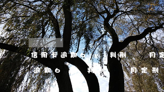 信用卡逾期6萬會判刑幾個月定刑-信用卡逾期6萬會判刑幾個月定刑嗎
