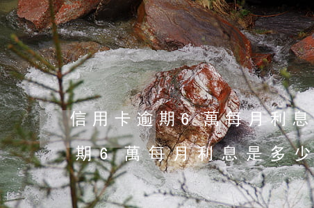 信用卡逾期6萬每月利息是多少-信用卡逾期6萬每月利息是多少錢