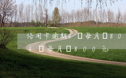 信用卡逾期6萬每月還800元 信用卡逾期6萬每月還800元